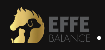 https://www.effektri.com/fi/